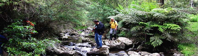 creek-crossing-slider3